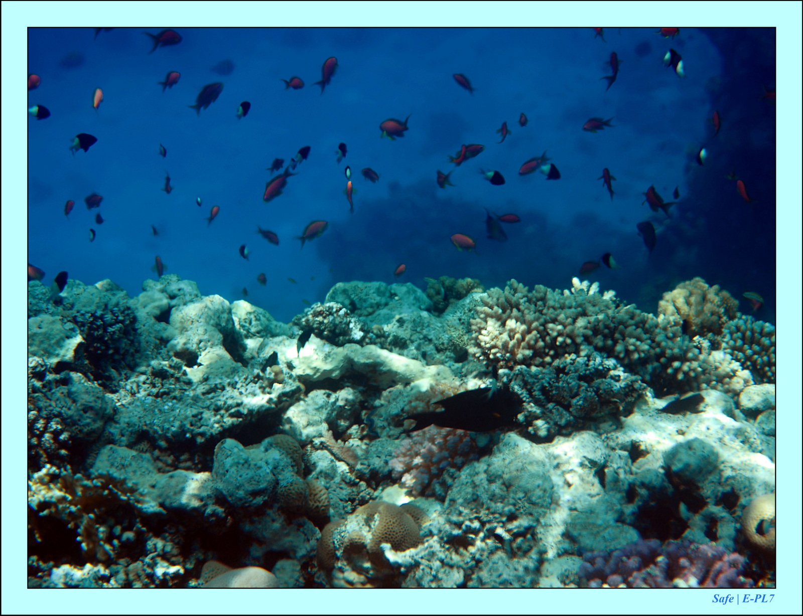 Hurghada - Aout 2021 - 029